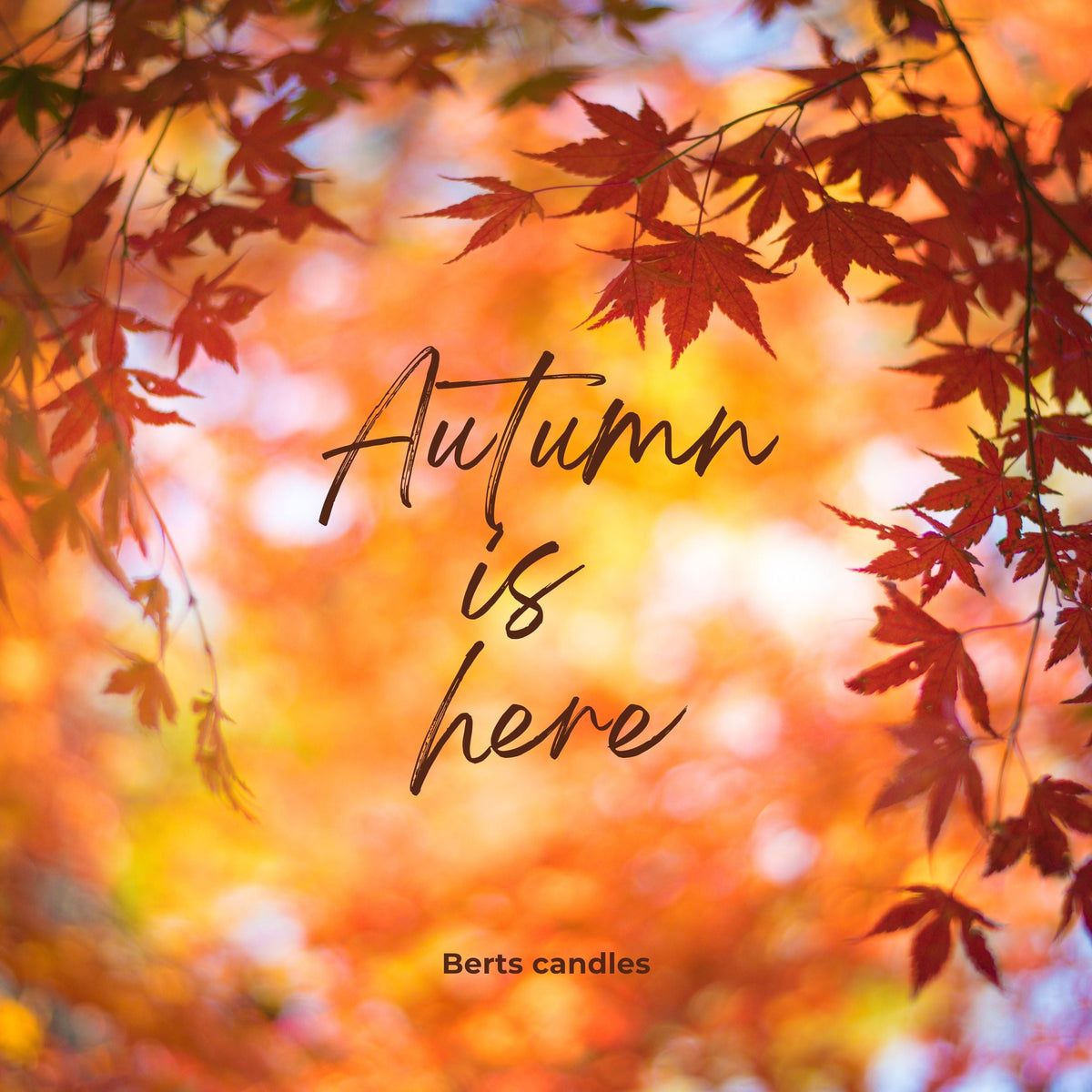 Our Seasonal Collection