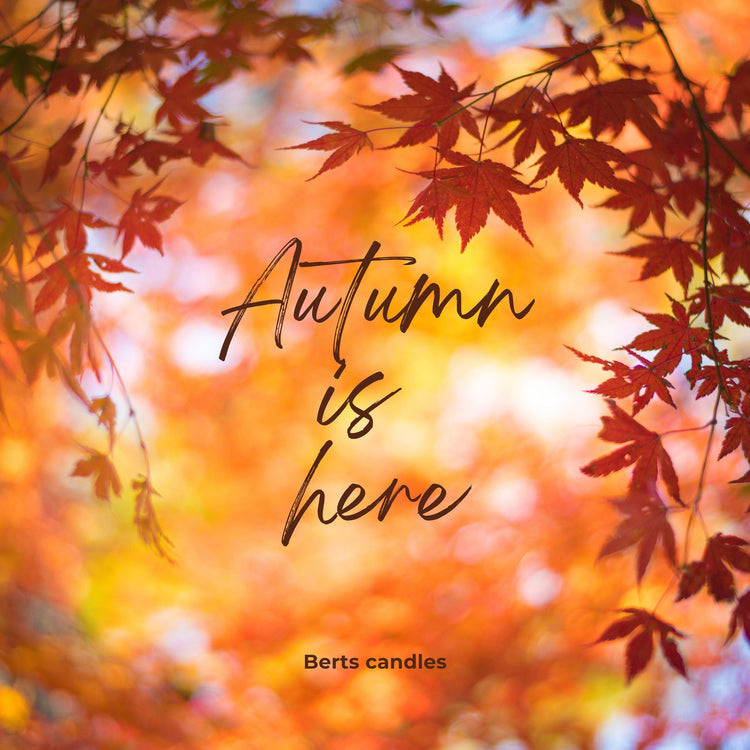 Our Seasonal Collection