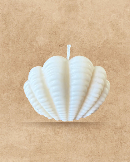 Small seashell candle