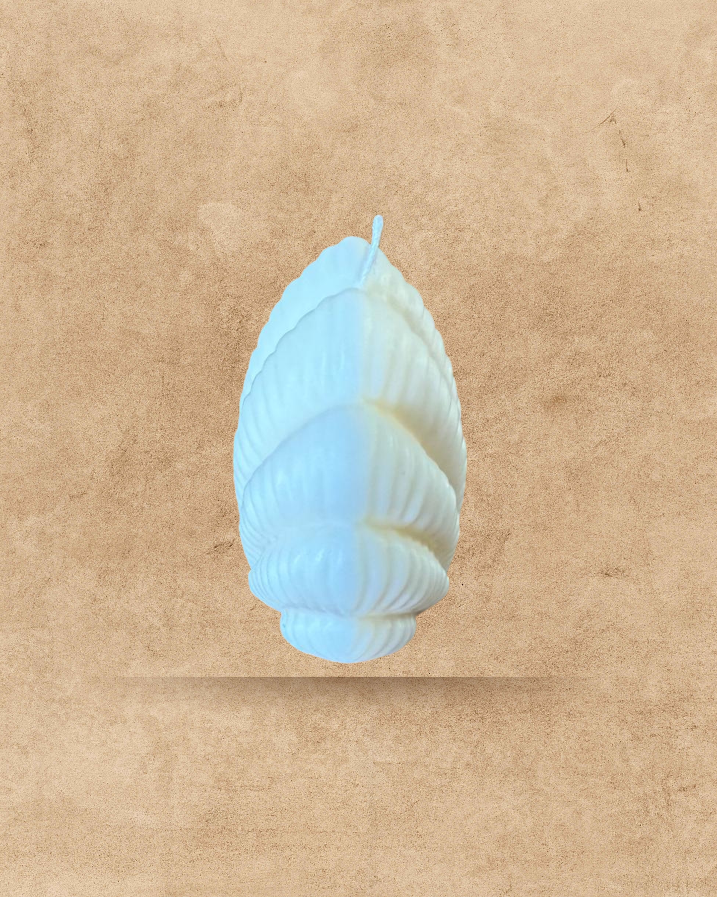 Small seashell candle
