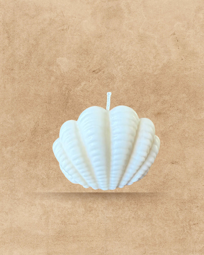 Small seashell candle