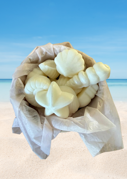 Seashell wax melts