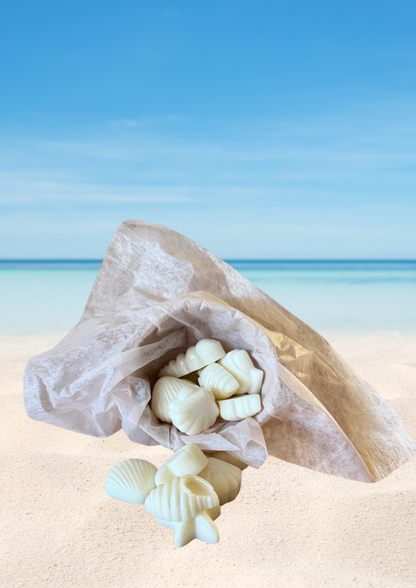 Seashell wax melts