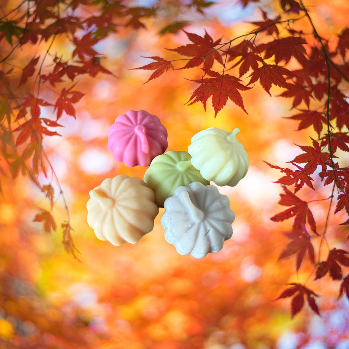 Pumpkin spice wax melts